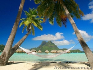 Управляющий турфирмой. Турагент. Курсы. Учебный центр Фурор     #947830