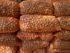 Грецкий орех оптом Украина #947132