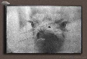 Гравировка по граниту #943773