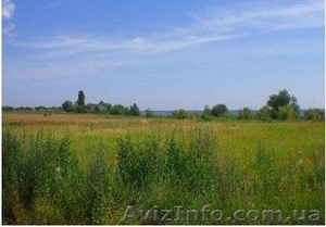 Продам 70 Га в 33 км от Киева. #950540