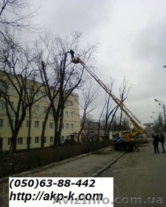 Удаление деревьев Киев,  0506388442 уборка участков и территорий. #947125