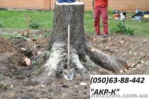 Корчевание пней Киев 0506388442 #947111