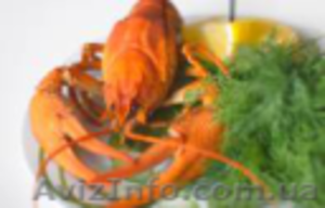 Армянские,  алтайские,  казахские,  русские, украинские раки оптом. #938094