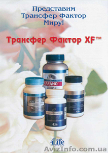 Трансфер-факторы 4Life – натуральные иммунокорректоры для профилактики здоровья #947342
