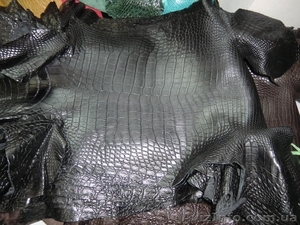 Продажа кожи рептилий и экзотических животных #948193