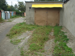 Житомир    Елена #950398