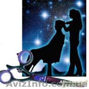 Аренда парикмахер/маникюр-педикюр #942932