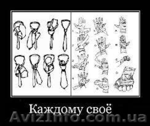 Смешанные единоборства #947288