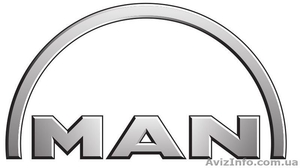 Покупка авто документов MAN #947499