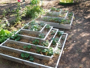 Пирамида под клубнику 5ти ярусная #948194