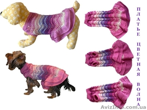 Одежда животным свяжу платье цветная Волна #938704