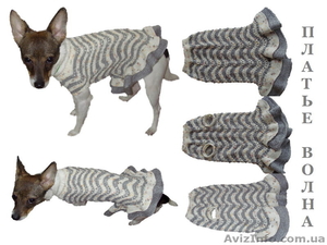 Одежда животным платье Волна #915565