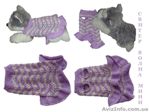 Одежда животным платье Волна мини  #915560