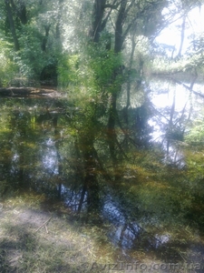 Услуги массажистки #943265