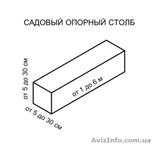 Виноградные  колья  #940945