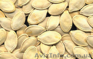  Продам - Тыквенную семечку #940416