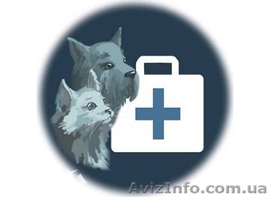 Ветеринар Харьков (093)408 09 36 #942047