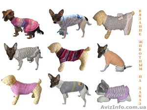 Вяжу одежду животным на заказ #938691