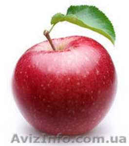 КУПЛЮ ЯБЛОКИ НА ПРОМ.ПЕРЕРАБОТКУ ОПТОМ ПО МАКСИМАЛЬНЫМ ЦЕНАМ #937506