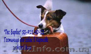 Зоогостиница для собак в Харькове 