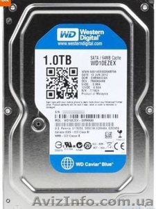 продам срочно,  Жесткий диск 1 ТБ Western Digital Caviar Blue #961655
