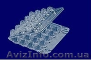 Упаковка для перепелиных яиц  #967458