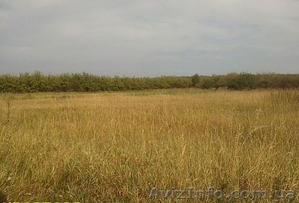 Продам 15 соток земли. Отличная транспортаня разязка. Фруктовый сад #952146