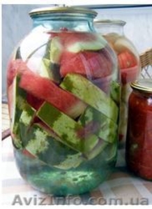 продам арбуз для соление #955252