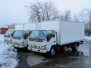 ISUZU NQR 71 изотерма #953693