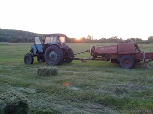 Сено луговое или люцерна #955130