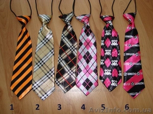 Галстук - всегда модно,  стильно,  актуально #961152