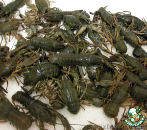 Живые раки и свежая рыба #967467