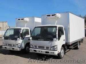 ISUZU NQR сендвич панельным фургоном #953259