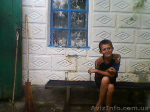 Продаю дом с газом огород сад сараи #962839