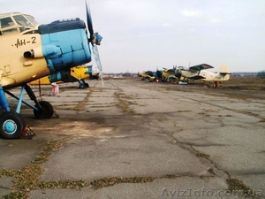 Авіація для десикації соняшника та кукурудзи #952227