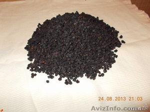 Сушеная черника #956286