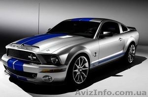 перевозчик ,  перевозка без вопросов #968319