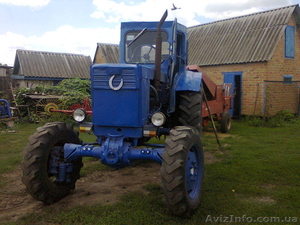 Полтавская обл. Таран Александр. 380955640703 #968321