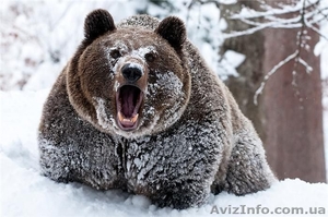 Курсы фотографии в Харькове. Звоните. #954950