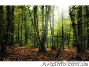 Земельный участок  Иванковичи #960154