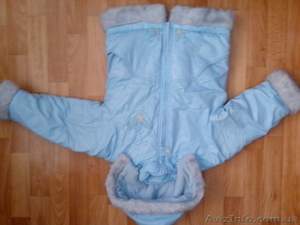 демисезонная куртка, книги для 1 класса #954769