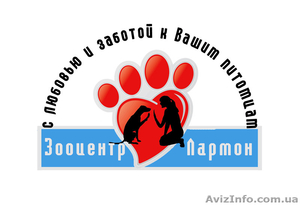 Вашей собаке нужна дрессировка! #961970