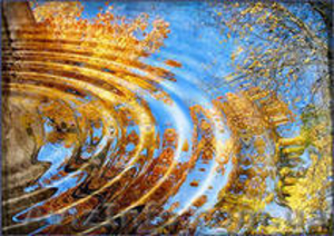 Искусство фотографии. Курсы. Учебный центр Фурор. #954805