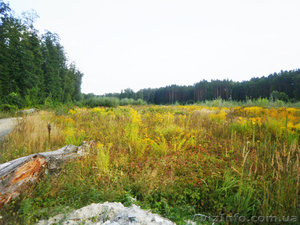 Вкусные земельные участки недорого Киев и область #968132