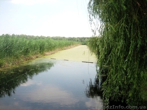 Продам участок в Подгорцах ... #959746