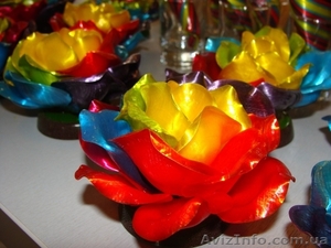 Курс Работа с карамелью Николаев  #962730