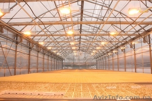 Тепличный кабель, обогрев теплиц, оранжерей #961505