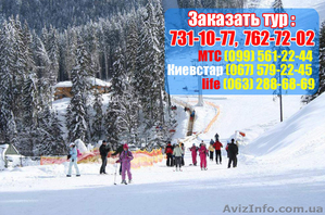 Карпаты из Харькова всего за 2550 грн – Жми! #966758