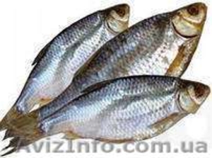 Рыба вяленая азовская #980025