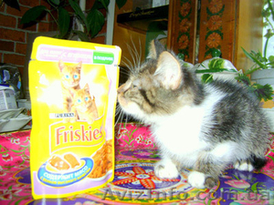 Лучший ЖИВОЙ ПОДАРОК  #825563